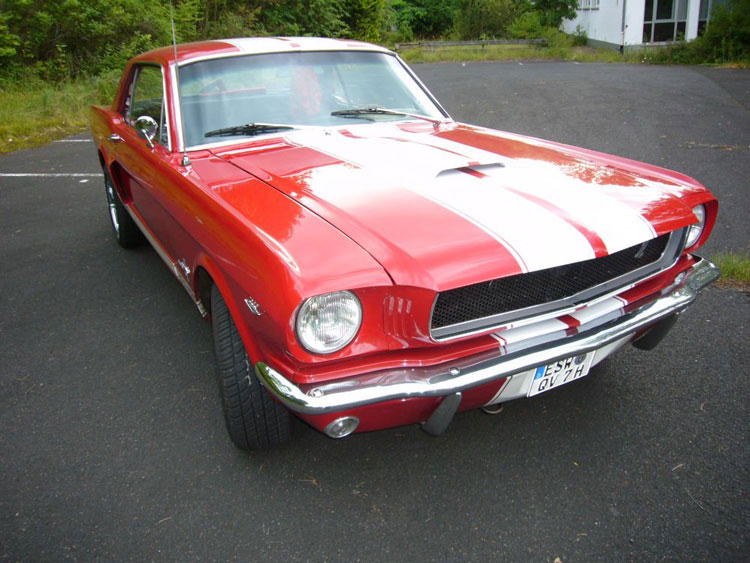 Mustang 1